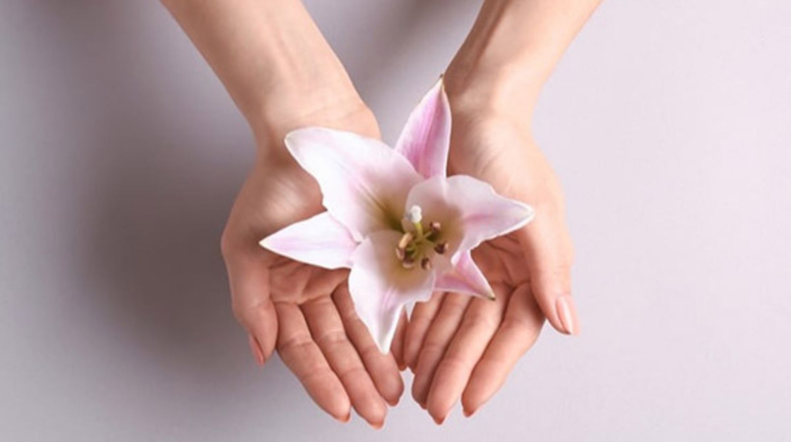 Aesthetic Gynecology Webinar